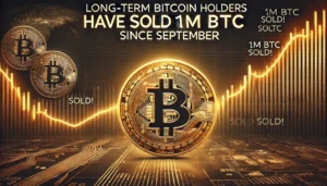 Long-Term Bitcoin Holders